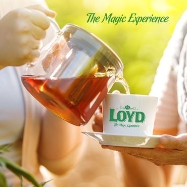 Видове чай и ползите от тях